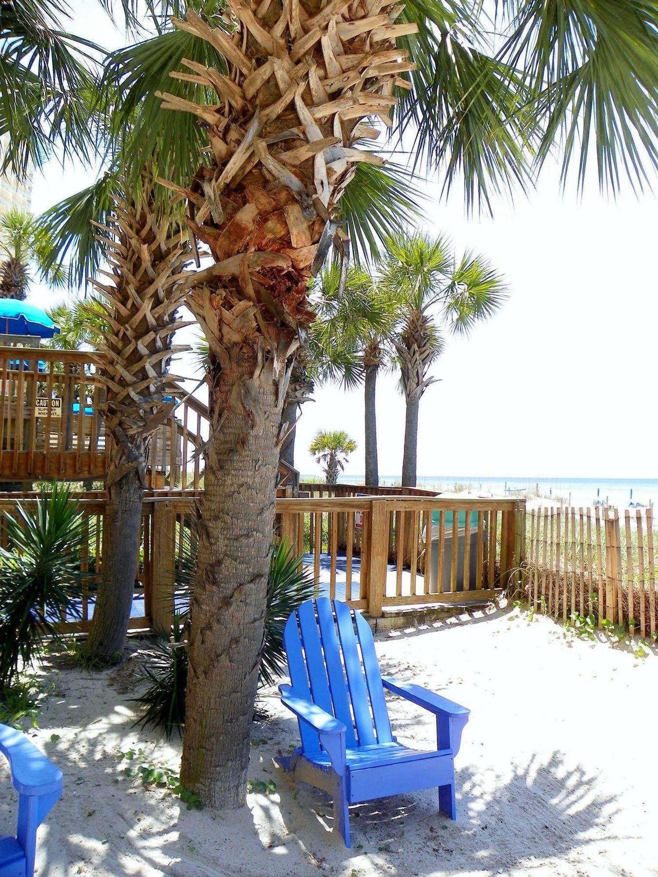 The Driftwood Lodge Панама-Сити Экстерьер фото
